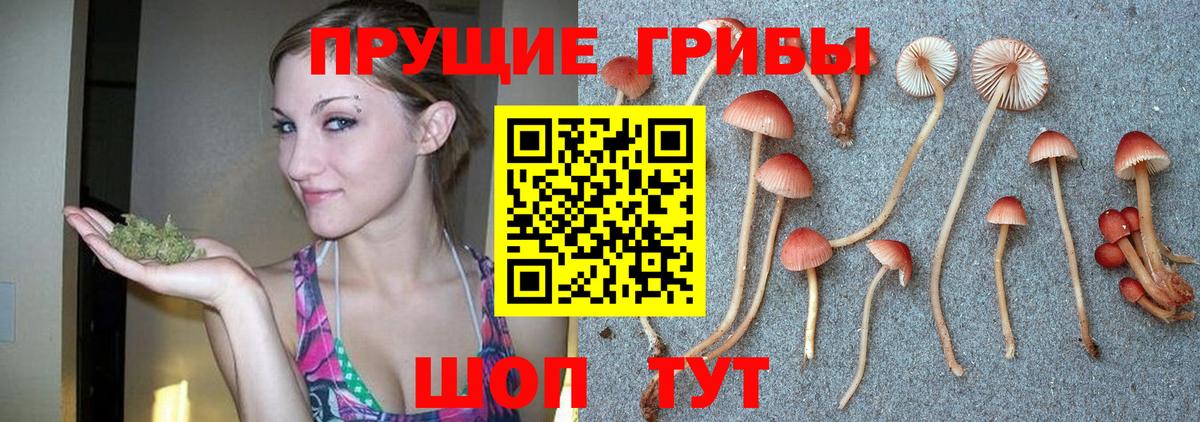 Псилоцибиновые грибы MAGIC MUSHROOMS Азнакаево